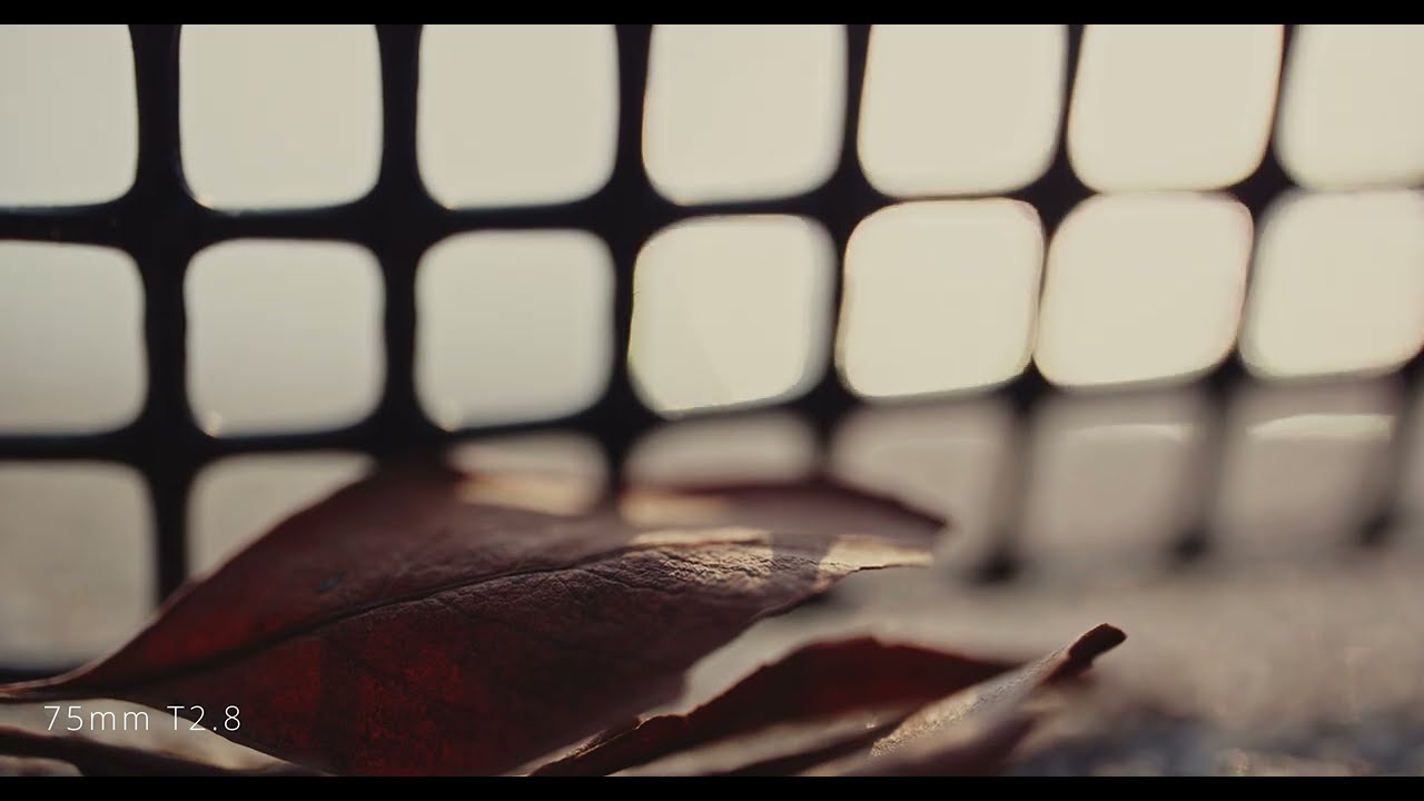 CHIOPT SLASHER Full-Frame Macro Cine Primes