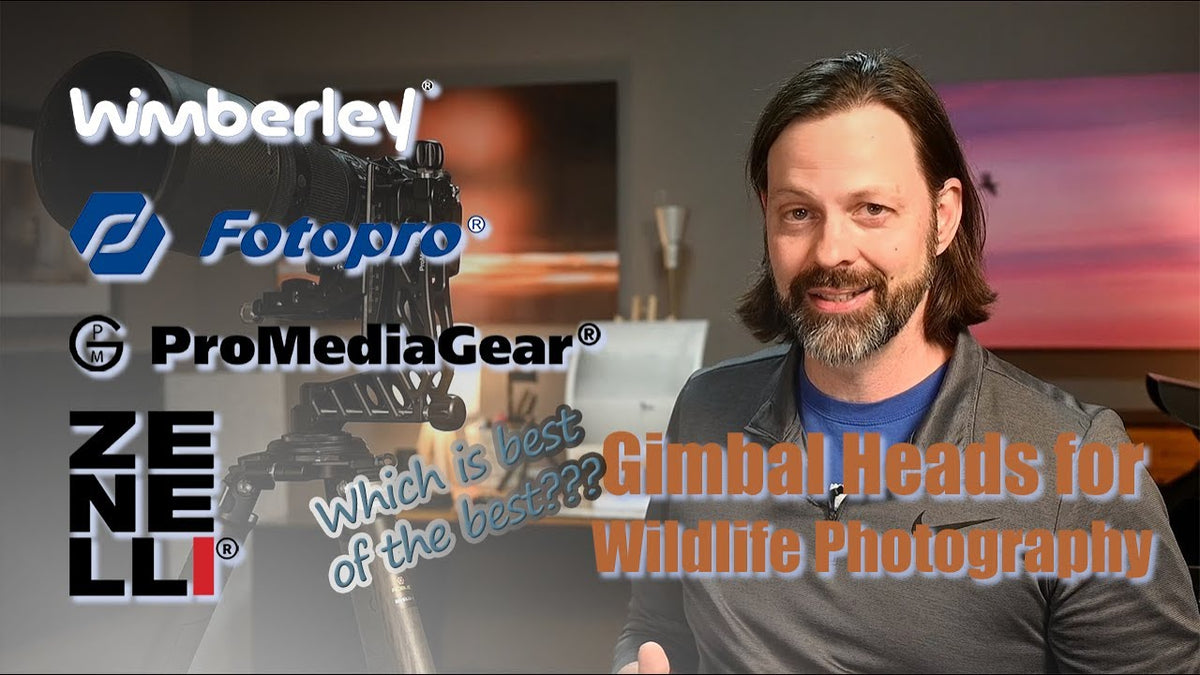 Gimbals for Wildlife, Comparing the Best of the Best | E-9 Tripod with E-9H Gimbal Head