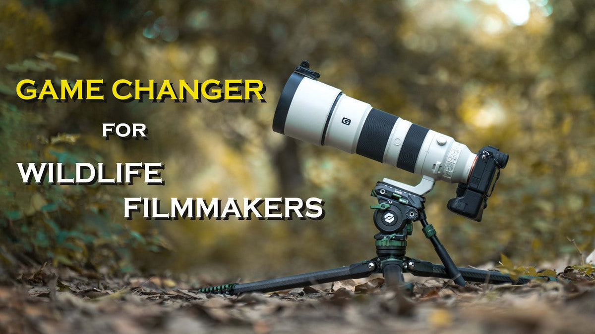 Fotopro O9 + MH12 Review | Best Lightweight Professional Tripod for Wildlife Filmmaking?