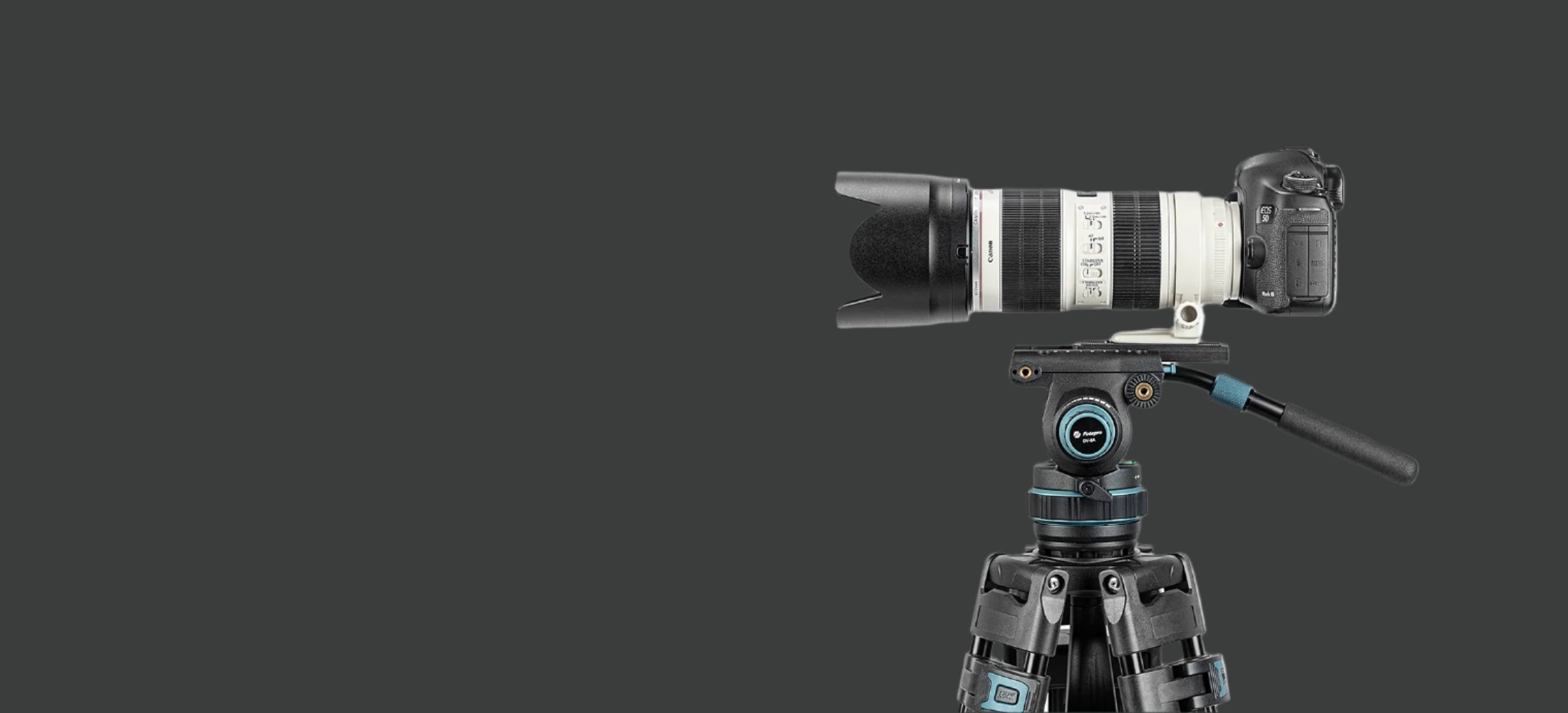 Filmmakers & Studios