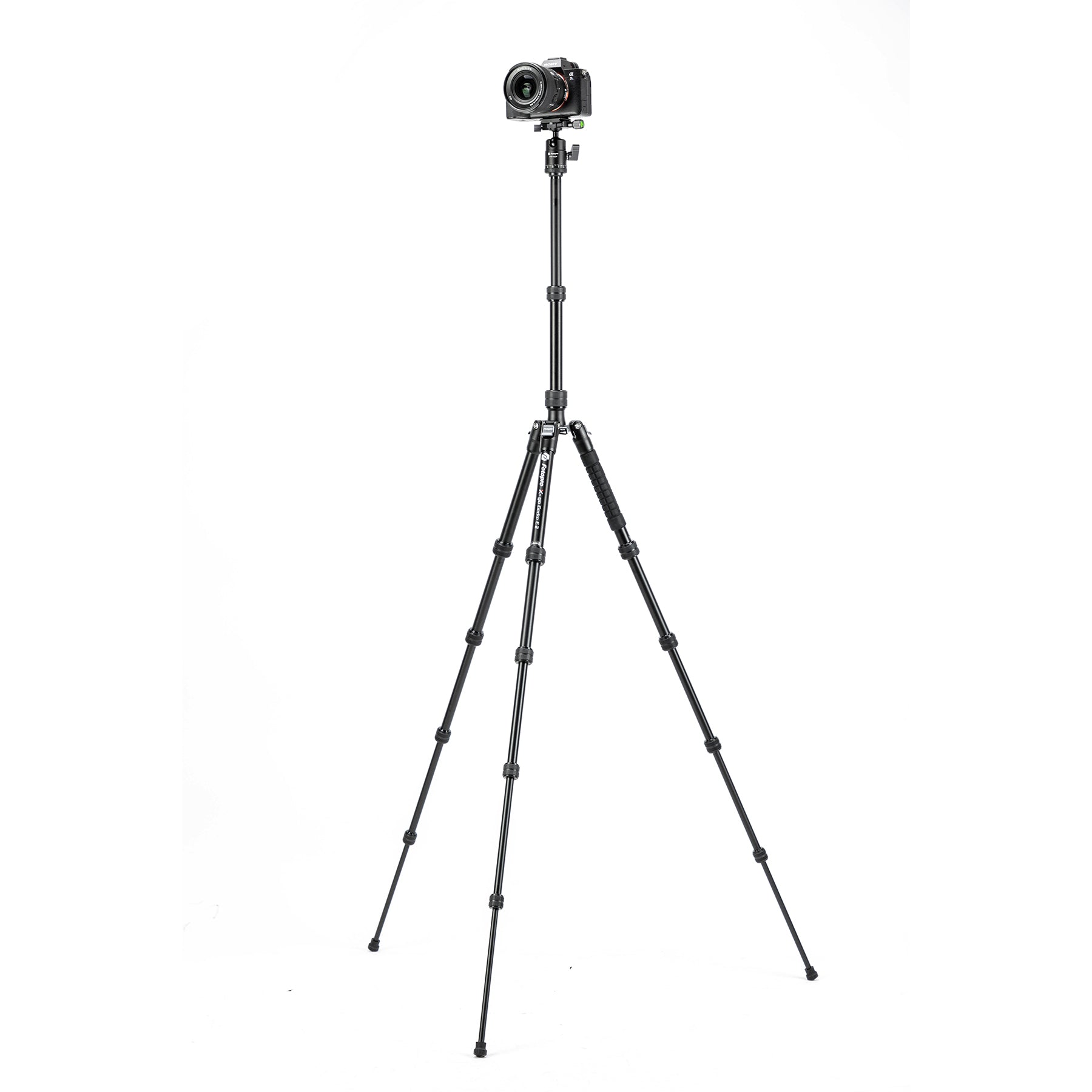 X-Go Gecko E 2