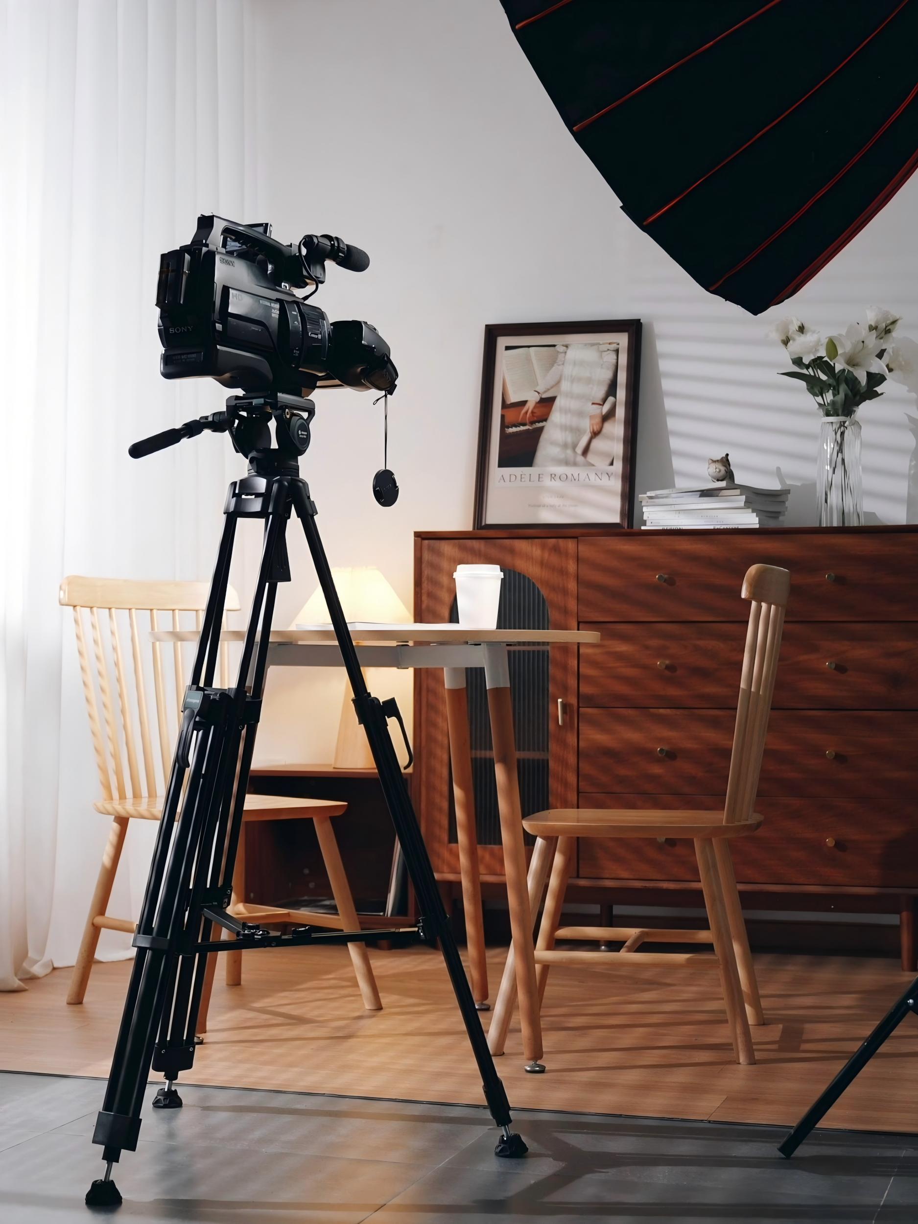 Fotopro DV series fluid video tripod used for indoor still life photography setup.