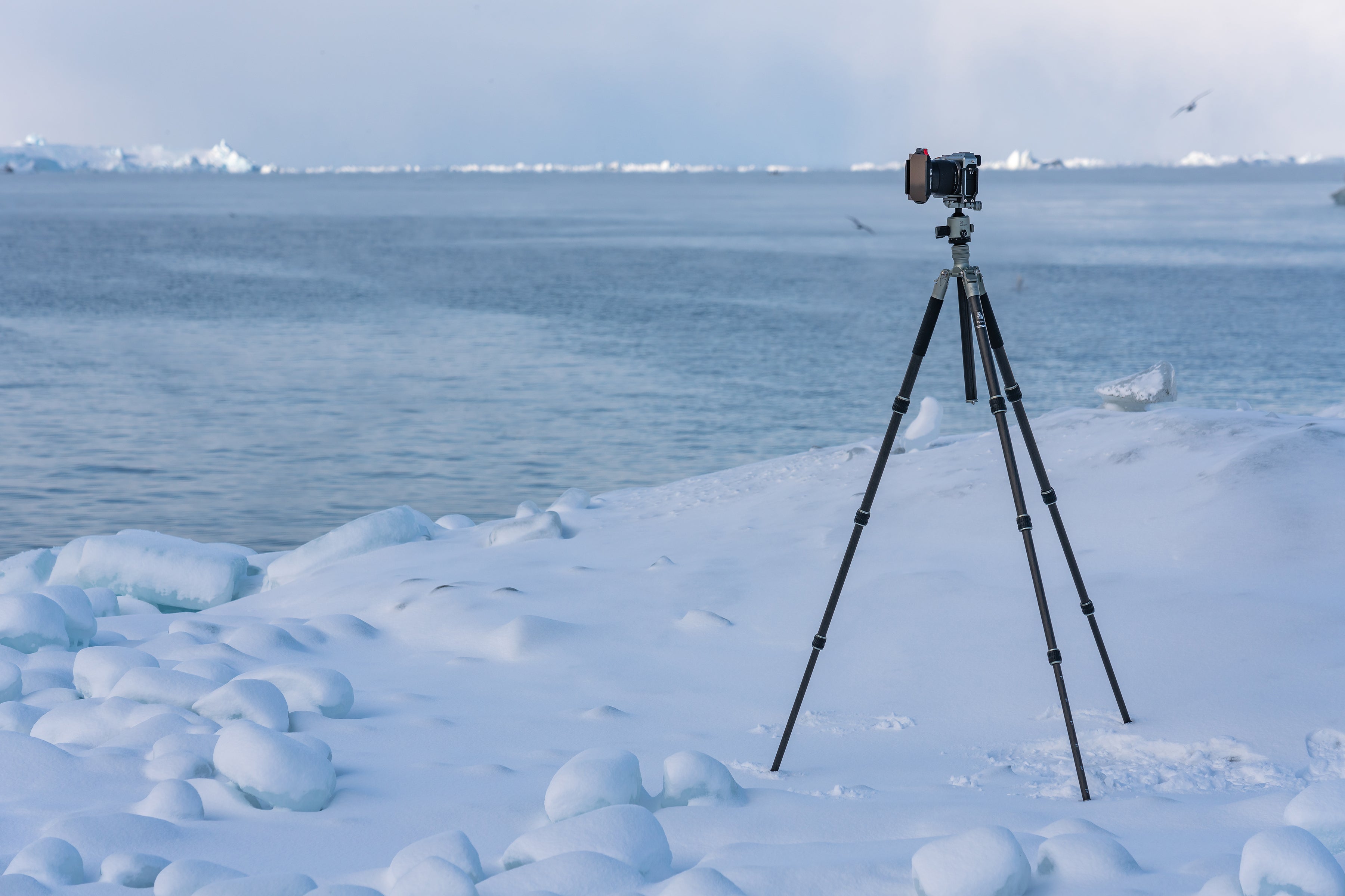 Fotopro T-ROC tripod fully extended to demonstrate its tall height adjustment range, ideal for eye-level or above-head photography, while maintaining stability and comfort during long shoots.