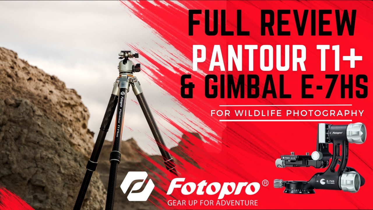 Full Review of the Fotopro Pantour T1 Plus | Eagle series Gimbal head E-7HS for wildlife photography