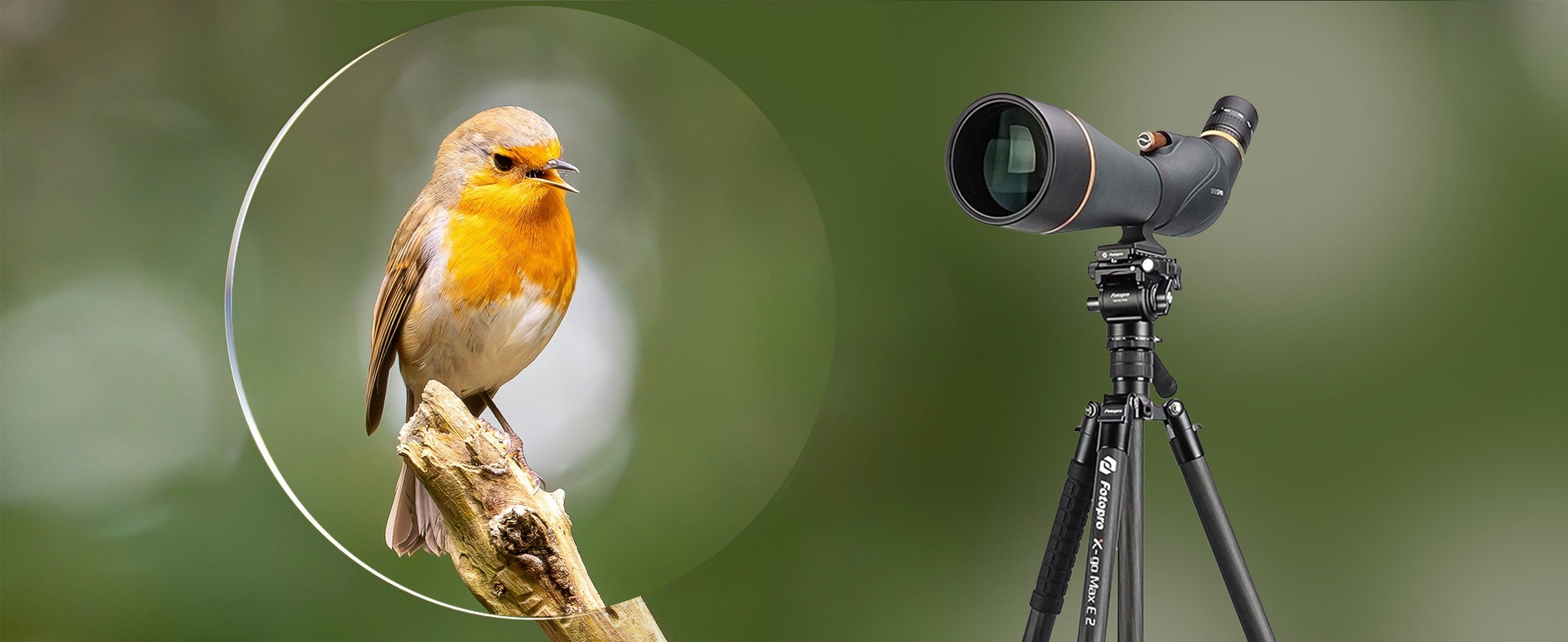 Spotting Scopes