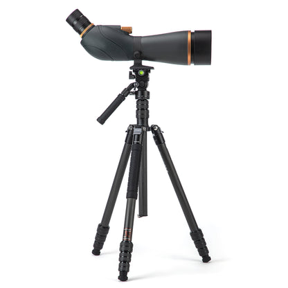 Golden Hawk 80 Kit