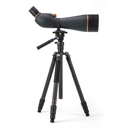 Golden Hawk Pro 100 Kit