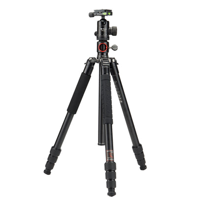 X-Go HR Chameleon