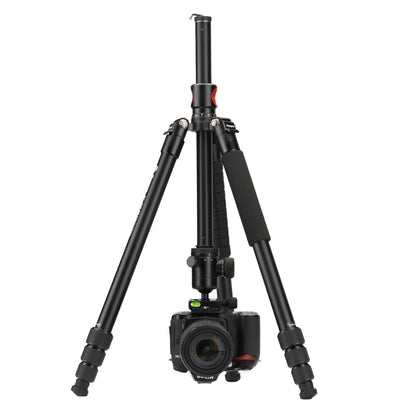 X-Go HR Chameleon