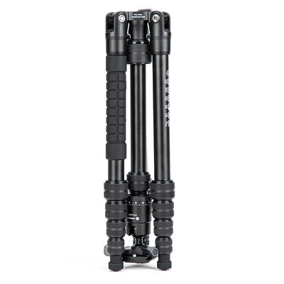 X-Go Gecko E 2