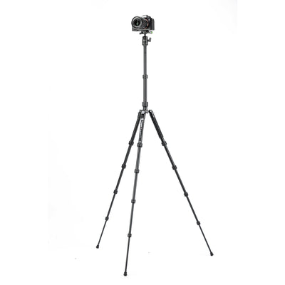 X-Go Gecko E 2