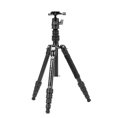 X-Go Gecko E 2