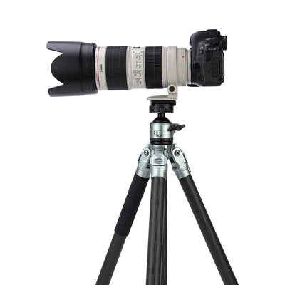 MP-6